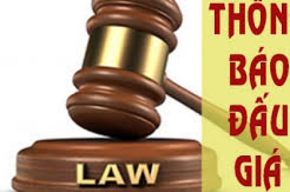 Thông báo đấu giá